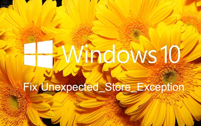 Unexpected_Store_Exception_Windows_10.jpg