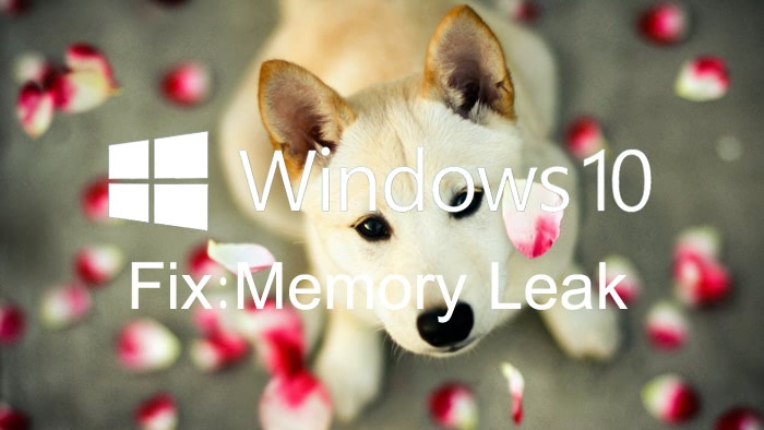 memory_leak_windows_10_update.jpg