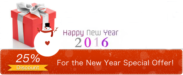 happy new year 2016