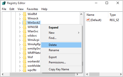 delete-winsock2.png