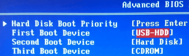 set-the-usb-drive-as-the-first-boot-order.png
