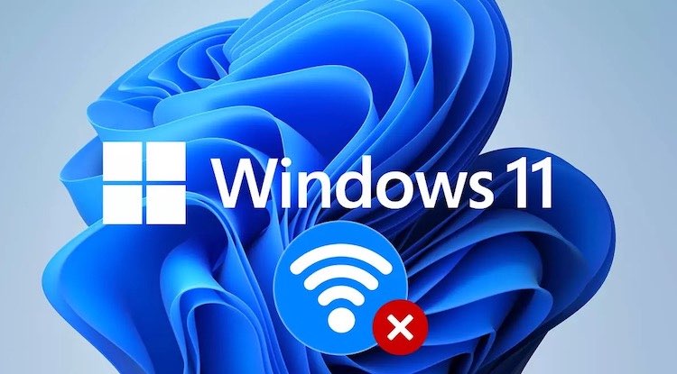 wifinotwork win11
