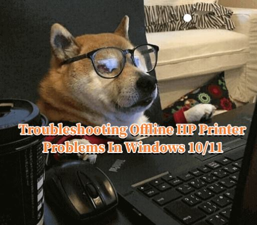 dog-pc.jpg