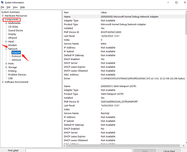 System-Information-window