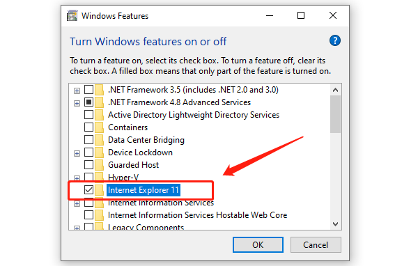 check-internet-explorer-feature