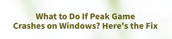 peak-game-crashes-on-windows-fixes