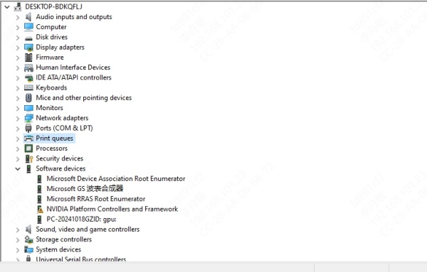 device-manager-printer-driver.jpg