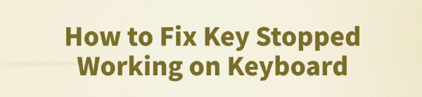 fix-key-stopped-working-on-keyboard