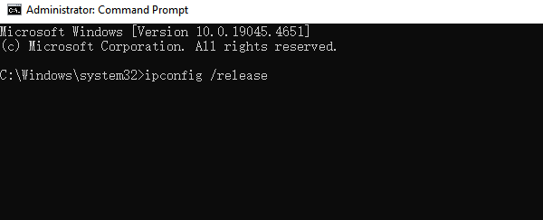release-dns-data