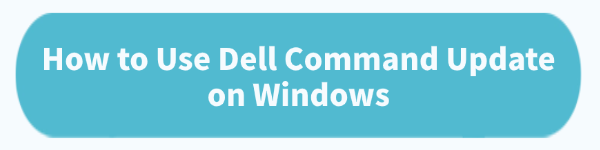 dell-update-command dell-update-command