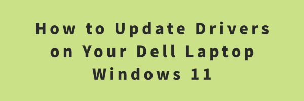 How to Update Drivers on Dell Laptop Windows 11 | Driver Talent