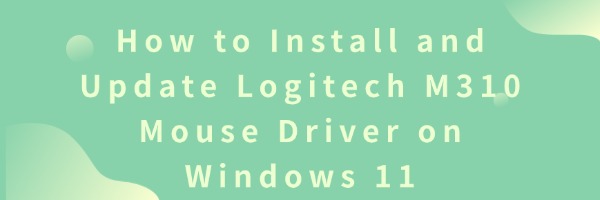 Mouse Driver Code How to Install and Update Logitech M310 Mouse Driver on Windows 11 ...