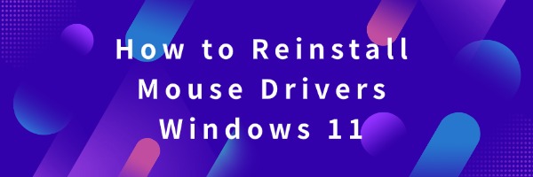 Mouse Driver Code How to Reinstall Mouse Drivers Windows 11 | Driver Talent